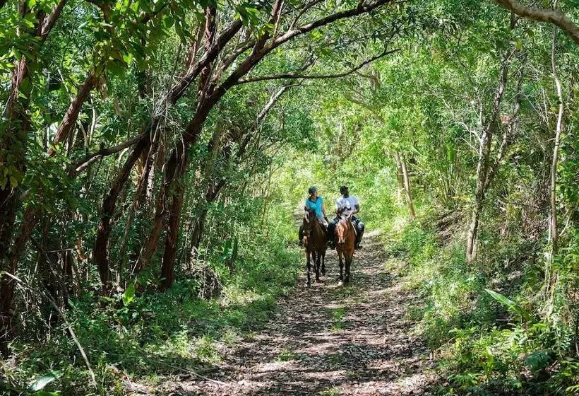 هتل La Vieille Cheminee