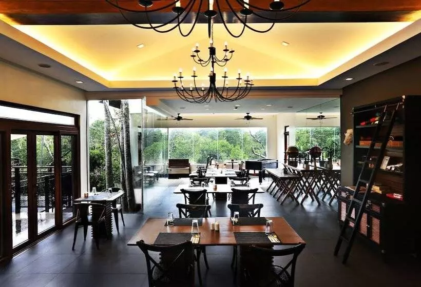 Hotel The Funny Lion   Coron