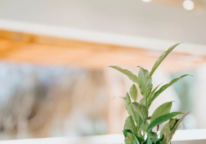 پانسیون Residencia El Balata