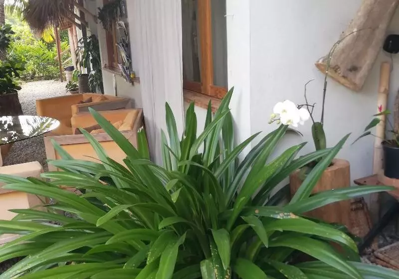 پانسیون Residencia El Balata