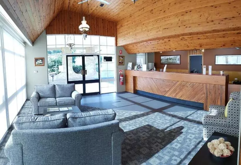 ホテル Amber Court Motor Inn