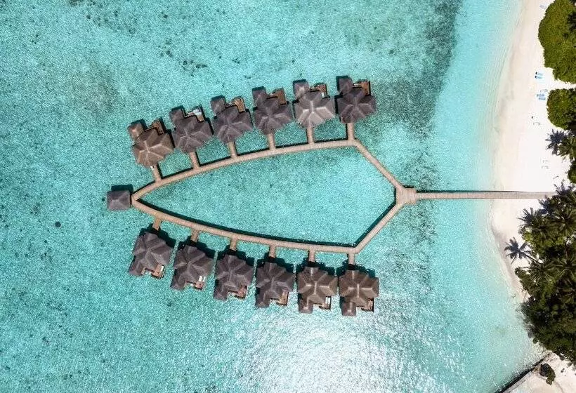 هتل Fihalhohi Maldives