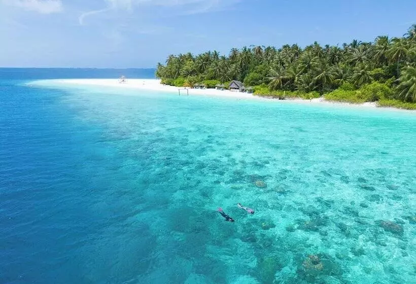 هتل Fihalhohi Maldives