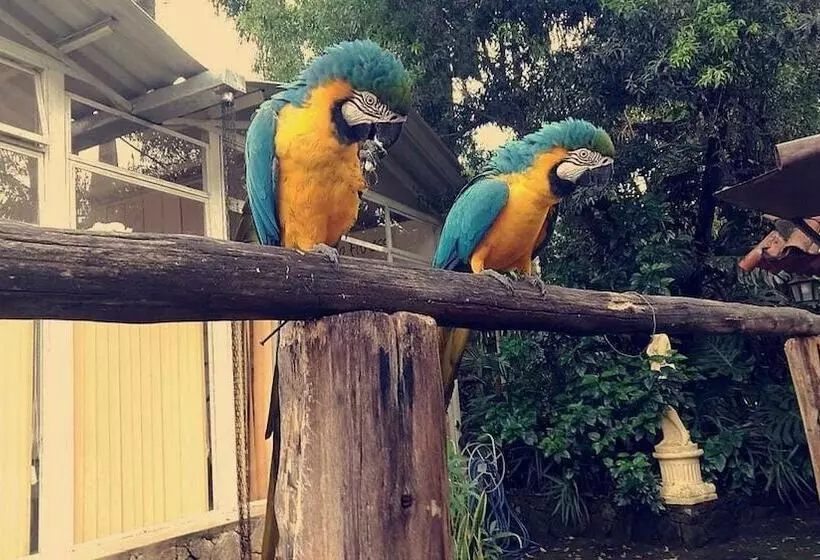 Отель Pousada Xica Da Silva