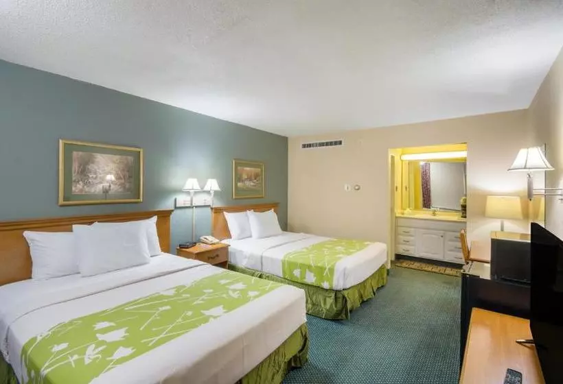 酒店 Rodeway Inn & Suites