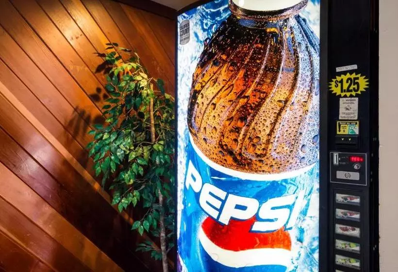 酒店 Rodeway Inn & Suites