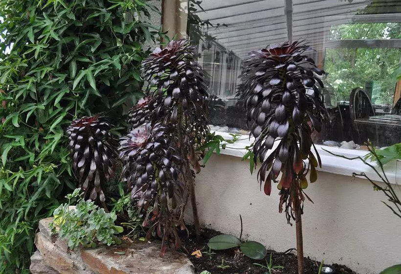 Hotel The Smugglers Inn