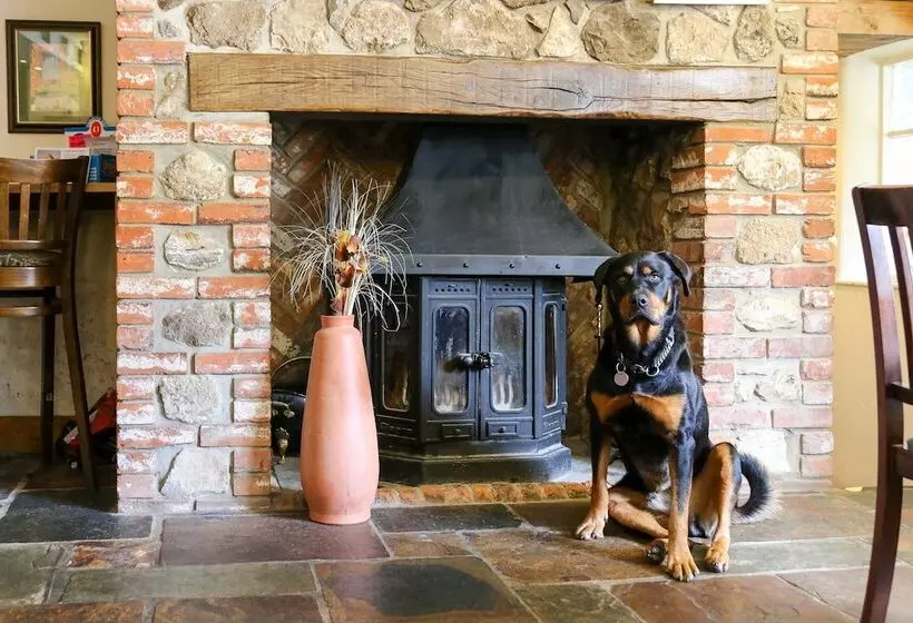 ベッドアンドブレックファースト The Haymaker Inn