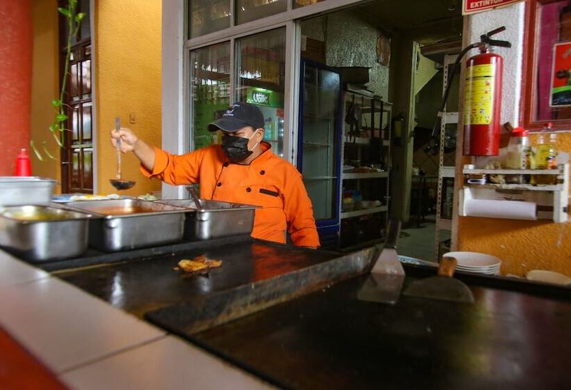 בית מלון כפרי Bello Caribe