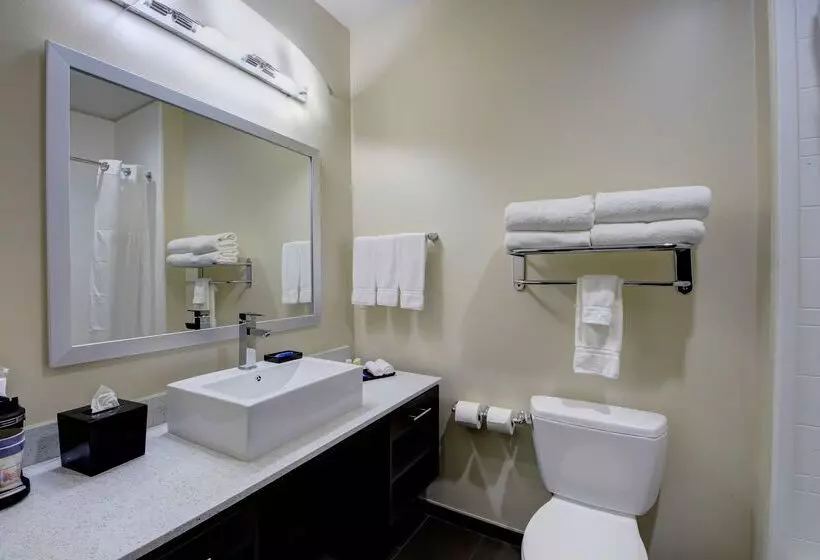 Отель Best Western Plus Inn Of Muskogee