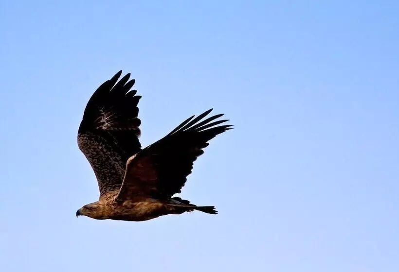 هتل Nkasa Lupala Tented Lodge