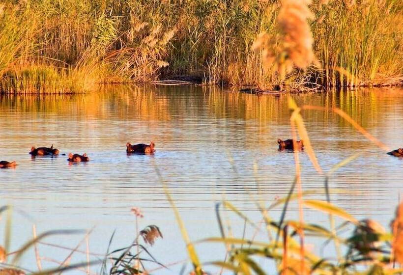 فندق Nkasa Lupala Tented Lodge