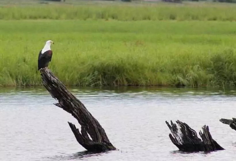 هتل Nkasa Lupala Tented Lodge