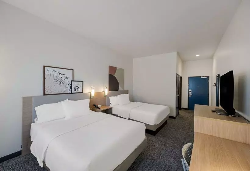 هتل Spark By Hilton Midland South