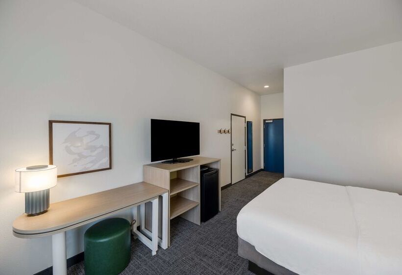 فندق Spark By Hilton Midland South