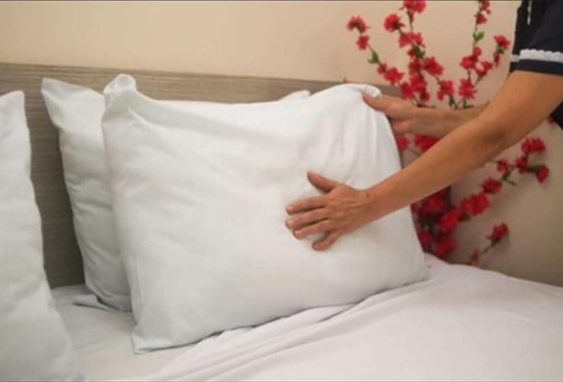 Отель Terra Preta