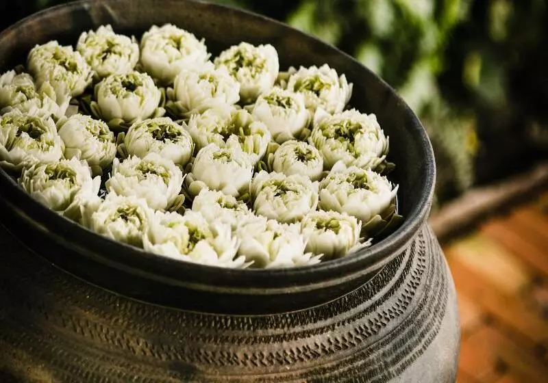 ホテル Zannier Phum Baitang