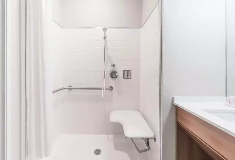 Microtel Inn & Suites By Wyndham Sweetwater