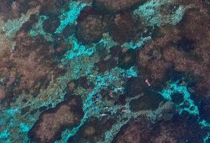 Отель Bahia Mar Boutique