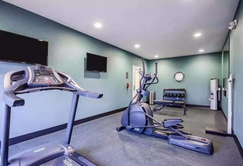 בית מלון כפרי Comfort Inn