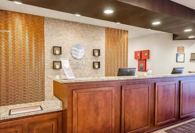 בית מלון כפרי Comfort Inn