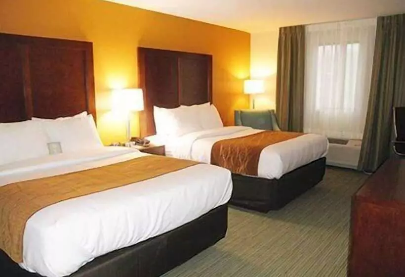 בית מלון כפרי Comfort Inn