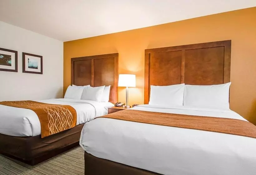 בית מלון כפרי Comfort Inn