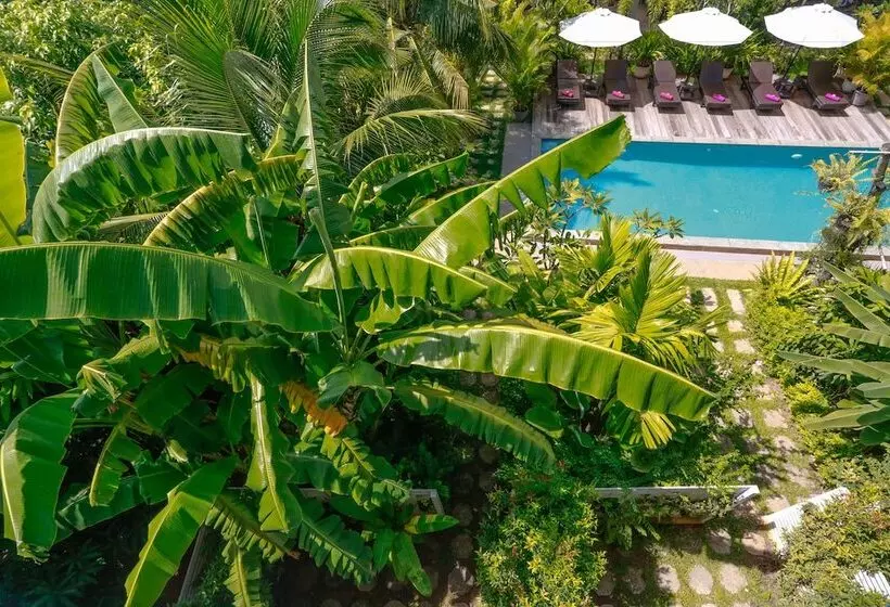 هتل Ladear Angkor Boutique