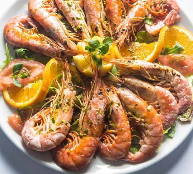 בית מלון כפרי Paguera Treff Boutique