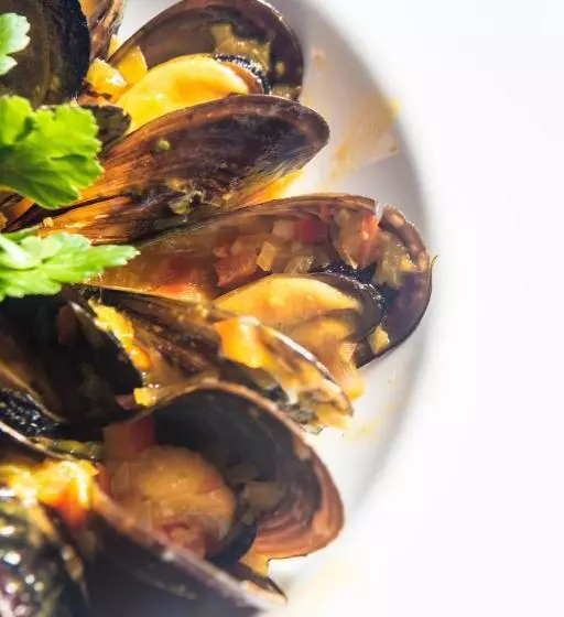 هتل Paguera Treff Boutique