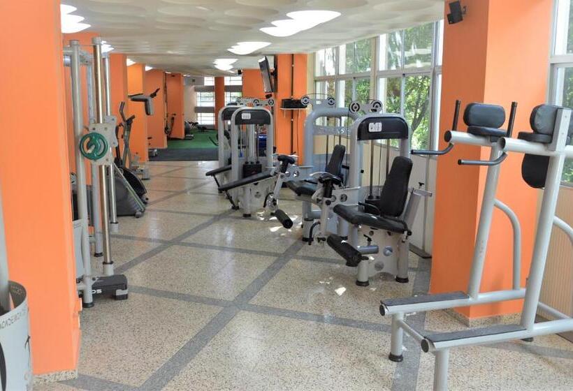 Realminas Hotel E Restaurante