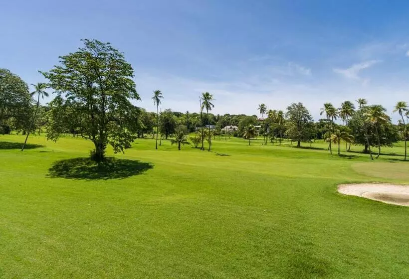 هتل Mount Irvine Bay Resort