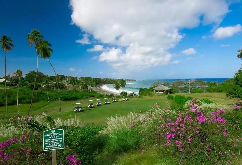 هتل Mount Irvine Bay Resort