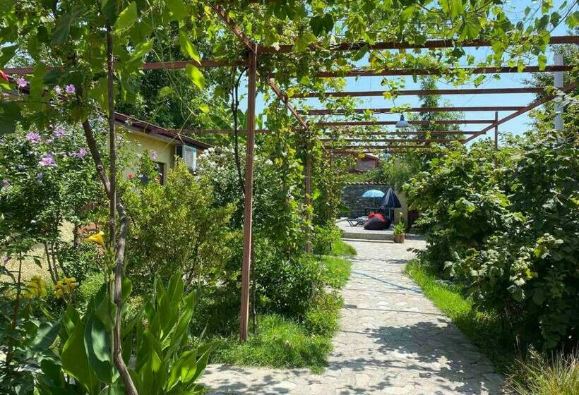 هاستل Villa Eniseli