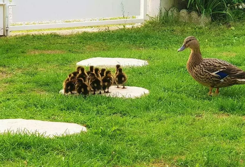 ホテル Beau Rivage