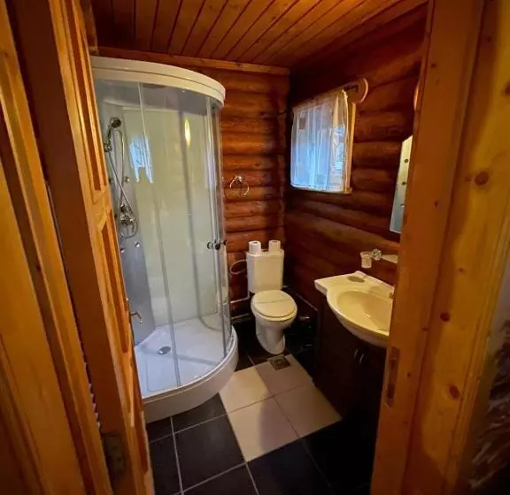 Pensiunea Moeciu Casa Wiarusti