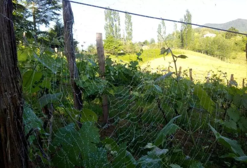 Retkeilymaja Dimis Ferdobi