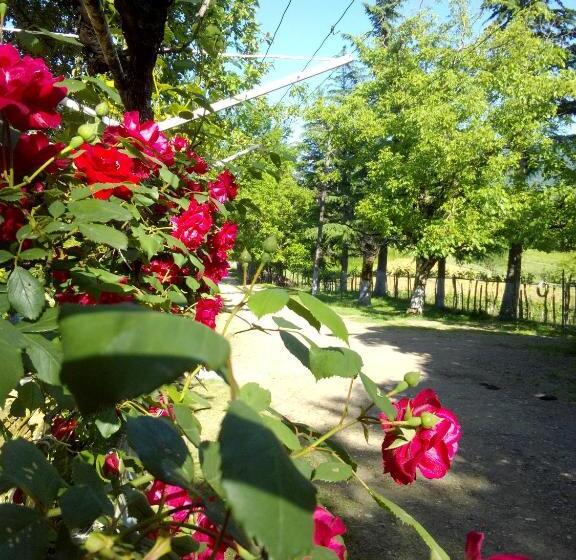 הוסטל Dimis Ferdobi