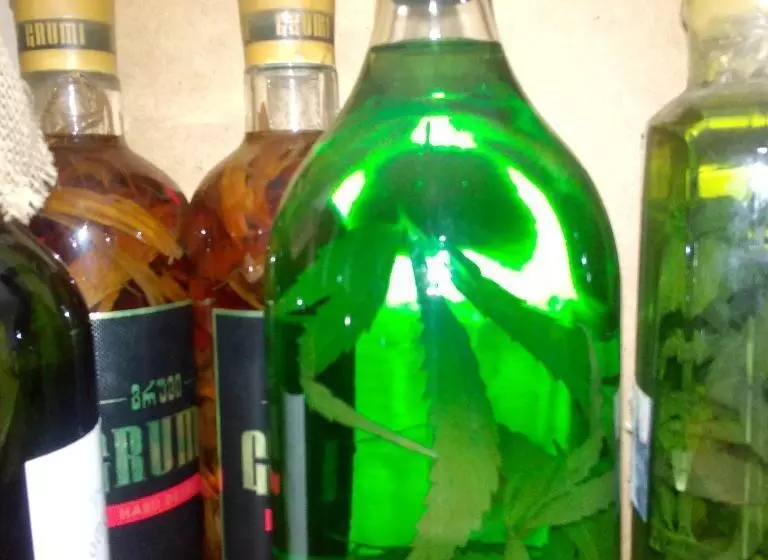 Retkeilymaja Dimis Ferdobi