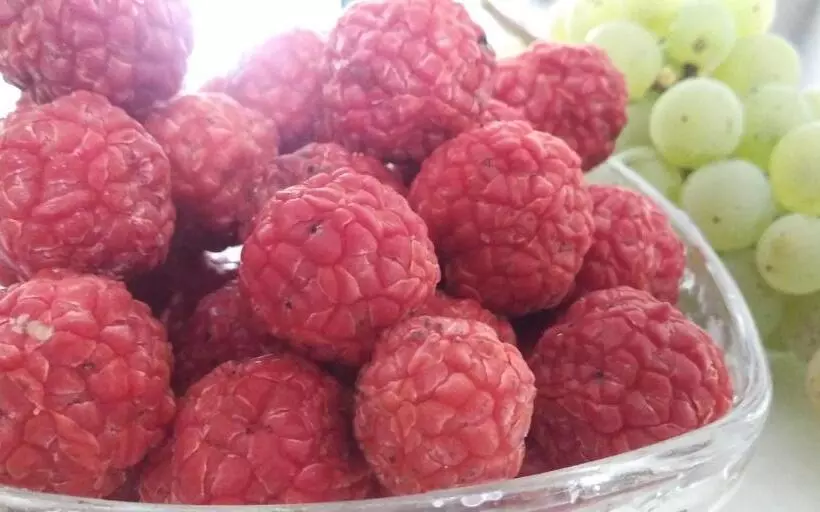 Retkeilymaja Dimis Ferdobi