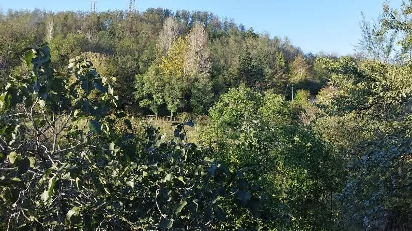 Retkeilymaja Dimis Ferdobi