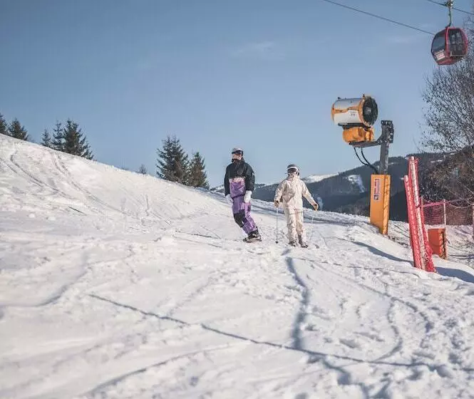 تختخواب و صبحانه Landhaus Saalbach   Joker Card Included In Summer