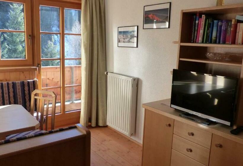 Отель Lucknerhof