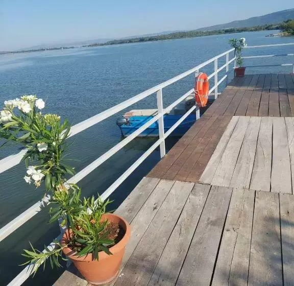 ペンション Casa Luis Coronini