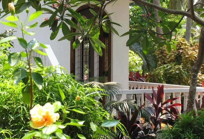 مبيت وإفطار Albuquerque Betterhomes, Goa