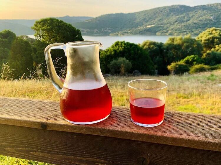 בית מלון כפרי Liscia Country Relais