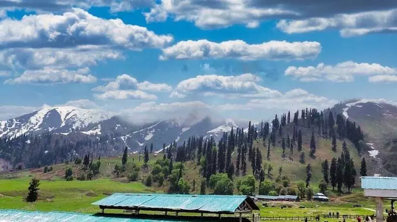 Hotelli Pine Spring Resort Gulmarg