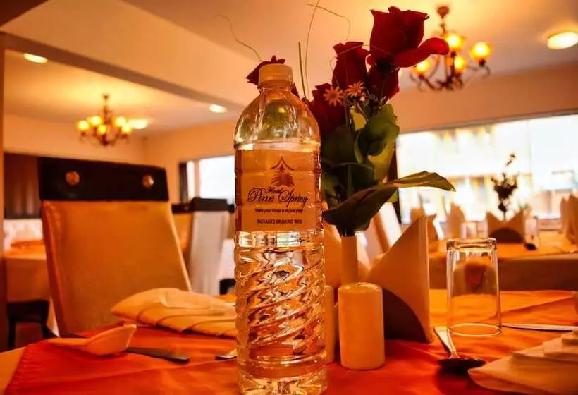 Hotelli Pine Spring Resort Gulmarg
