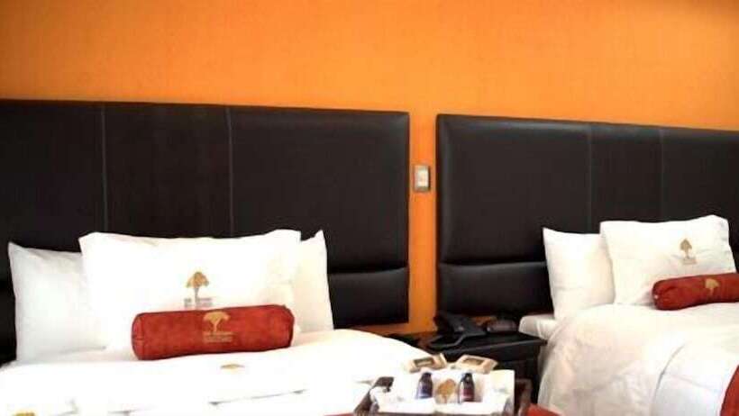 Отель The Lit 13