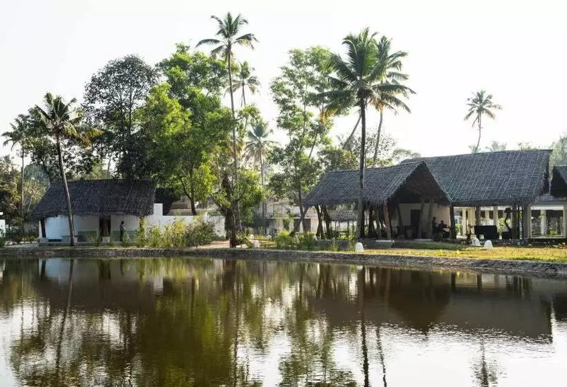 ホテル Xandari Pearl Beach Resort